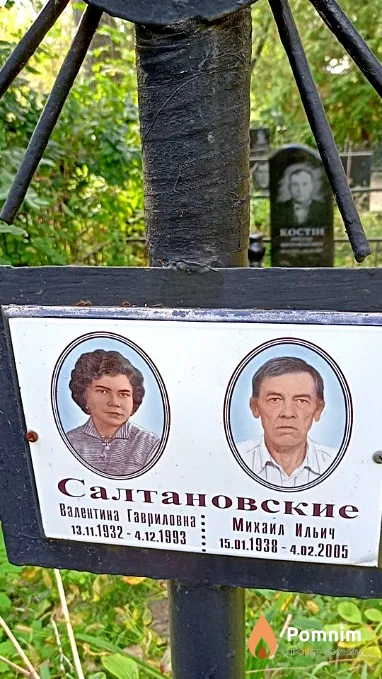 Салтановский Михаил Ильич