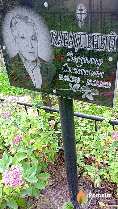 Караульный Владимир Степанович