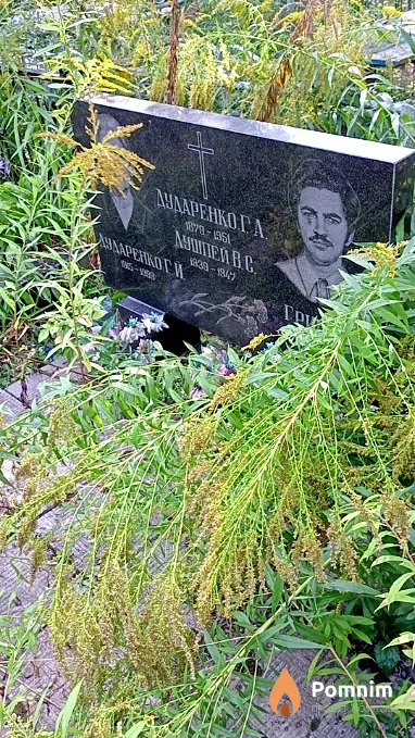 Гриб В О