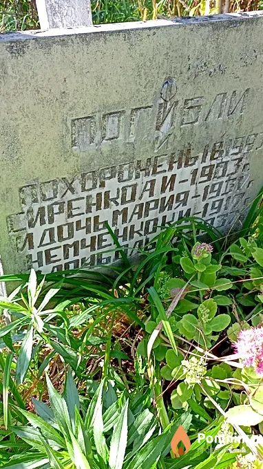Сиренко А И