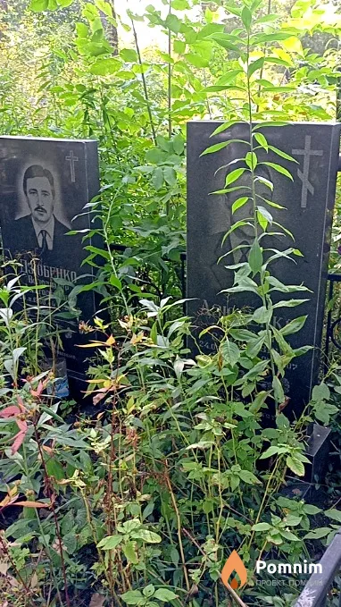 Дзюбенко Володимир Анатолійович