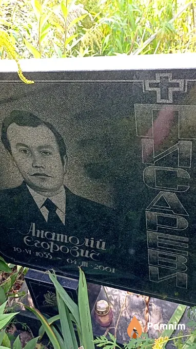 Писаревич Анатолій Єгорович