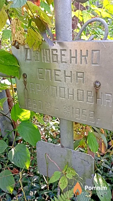 Дзюбенко Елена Харипоновна