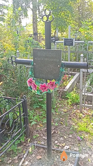 Шкляревська Наталія Миколаєвна