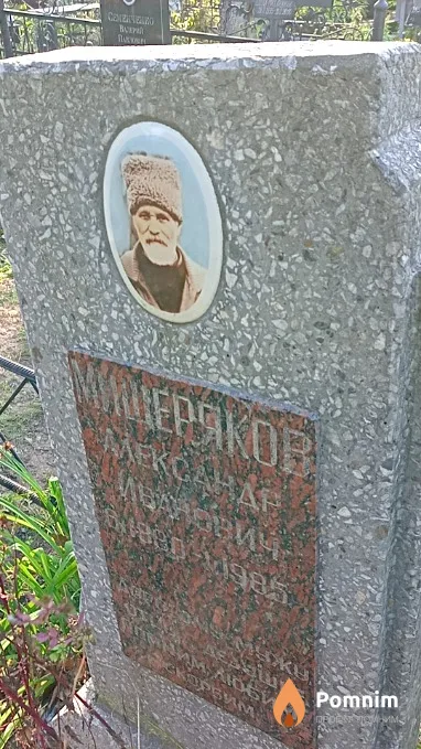 Мищеряков Александр Иванович