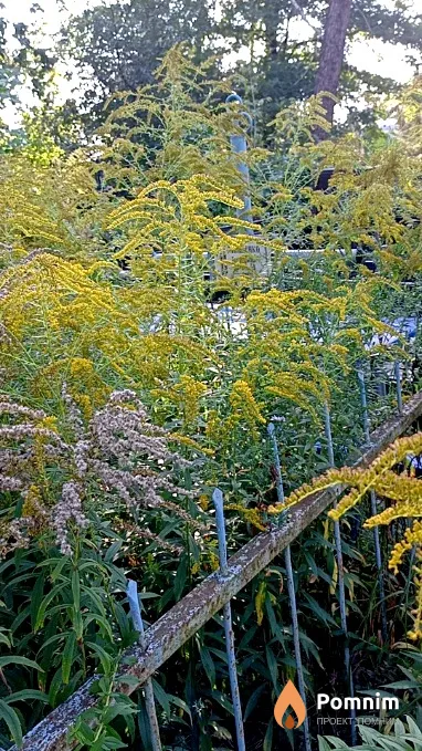 Мніщенко Катерина Юхимівна