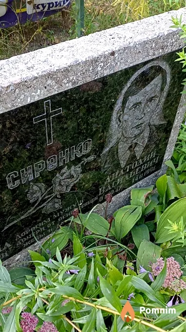 Сиренко Анатолий Васильевич