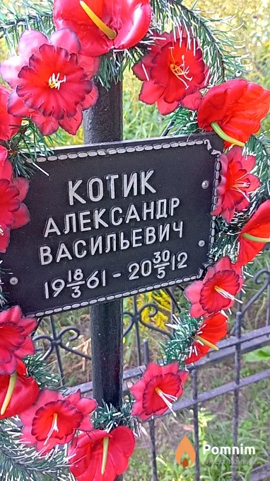 Котик Александр Васильевич