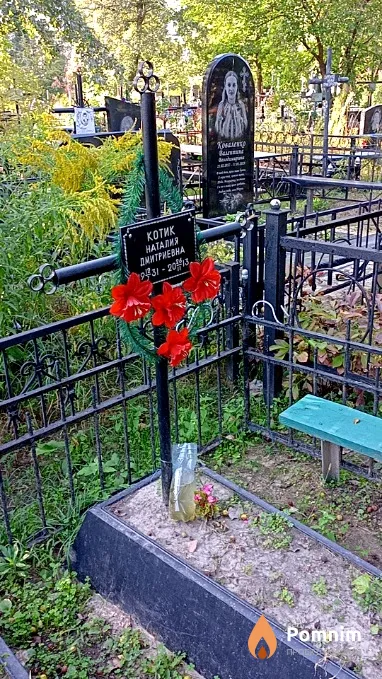 Котик Наталия Дмитриевна