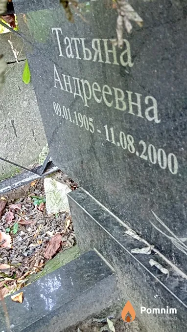 Грищенкова Татьяна Андреевна
