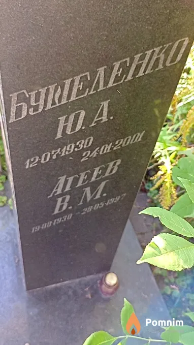 Бушеленко Ю А