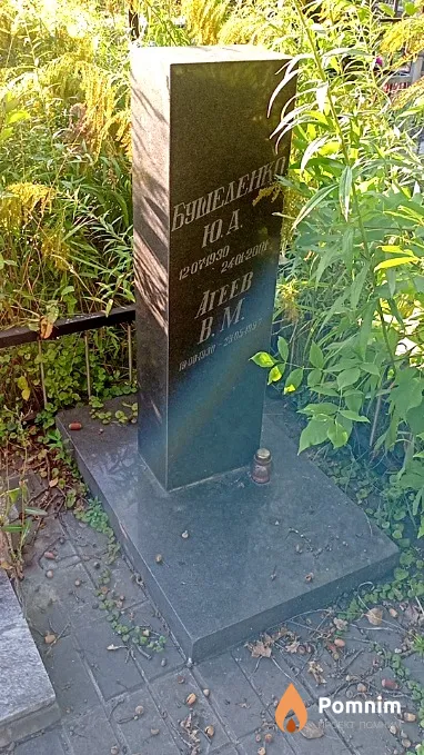 Агеев В М