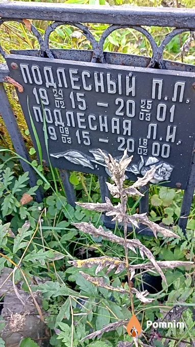 Подлесная Л И