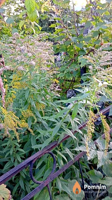 Андрийчук Мария Степановна