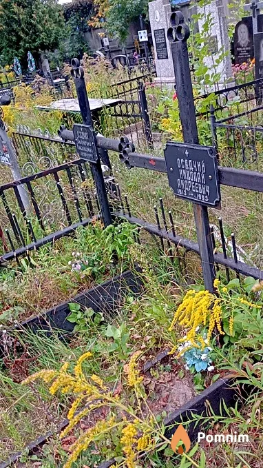 Осадчий Николай Андреевич