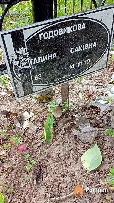 Годовикова Галина Саківна