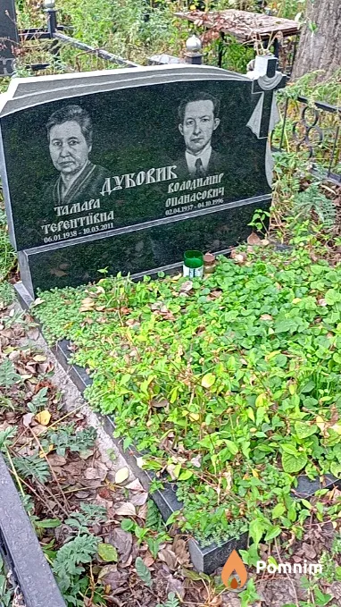 Дубовик Тамара Тєрєнтіївна