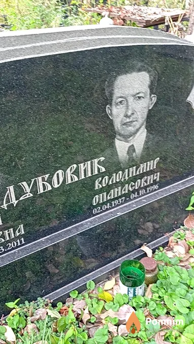Дубовик Володимир Опанасович
