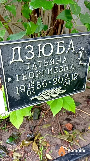Дзюба Татьяна Георгиевна