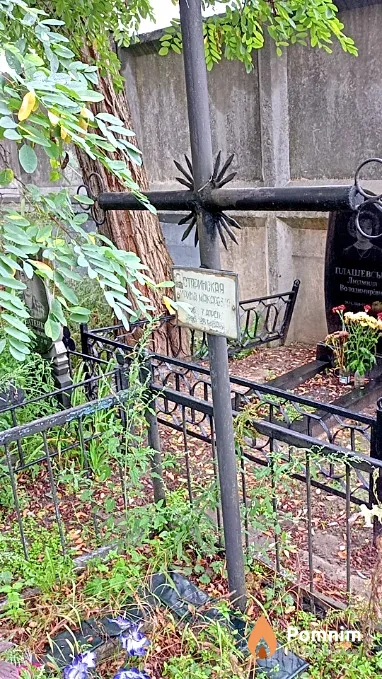 Старинская Ирина Макаровна