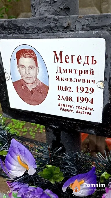 Мегедь Дмитрий Яковлевич
