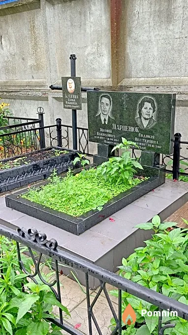 Алейник Дарья Ильинична