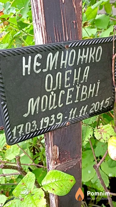 Немножко Елена Моисеевна
