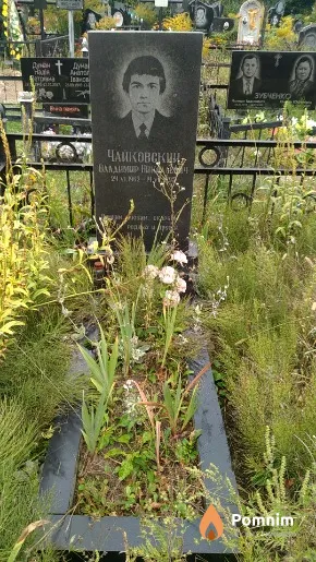 Чайковський Владимир Николаевич
