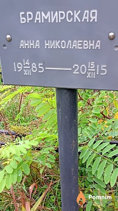 Брамирская Анна Николаевна