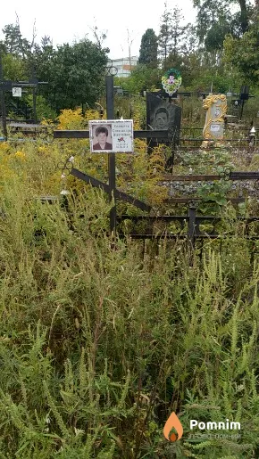 Колесник Олександра Вікторівна