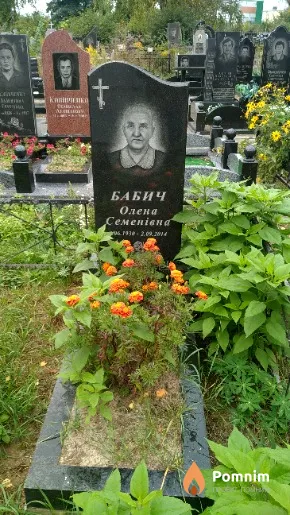 Бабич Олена Семенівна