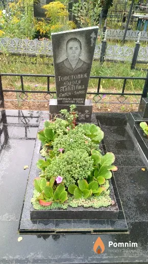 Товстонюк Дарія Павлівна