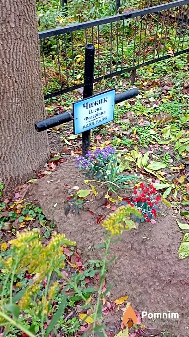 Чижик Олена Федорівна