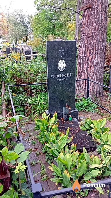 Мищенко В П