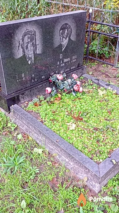 Мнищенко Илья Ефимович