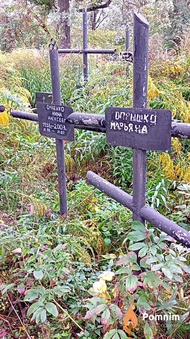 Орленко Нина Алексеевна