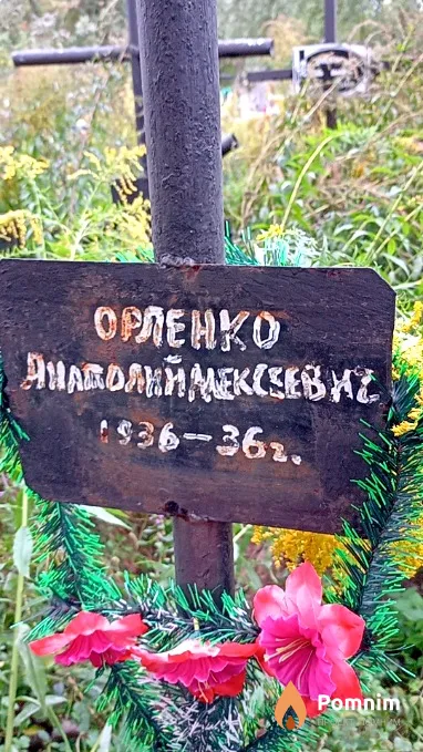 Орленко Анатолий Алексеевич