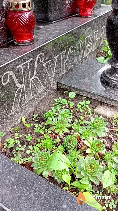 Жуков Виктор Петрович