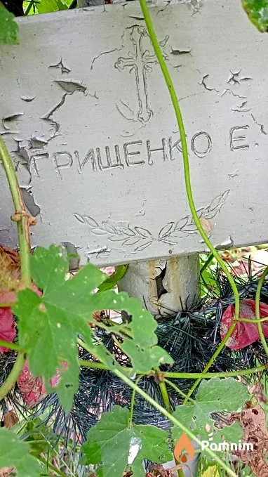Грищенко Е