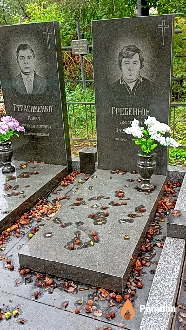 Гребенюк Дмитрий Алексеевич