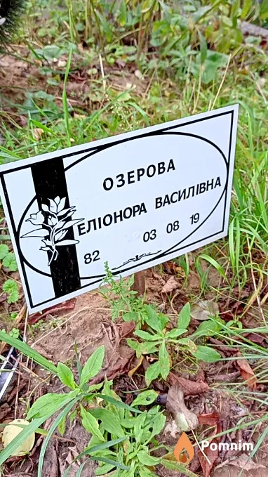 Озерова Еліонора Василівна
