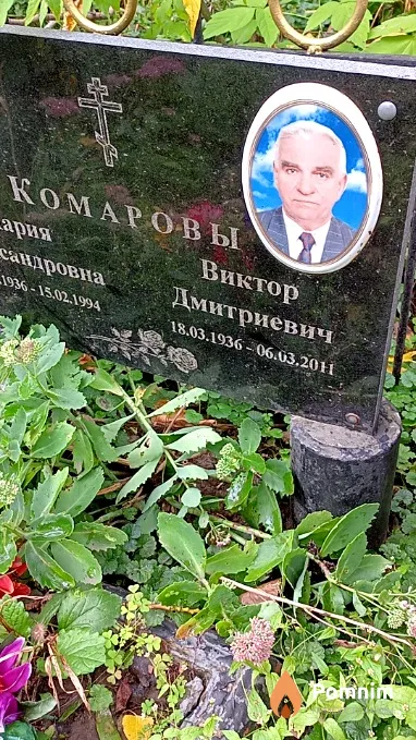 Комаров Виктор Дмитриевич