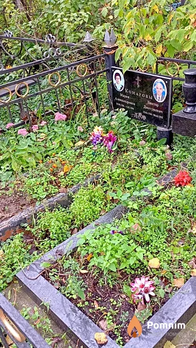 Комарова Мария Александровна