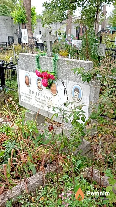 Приймак Елена Анатольевна