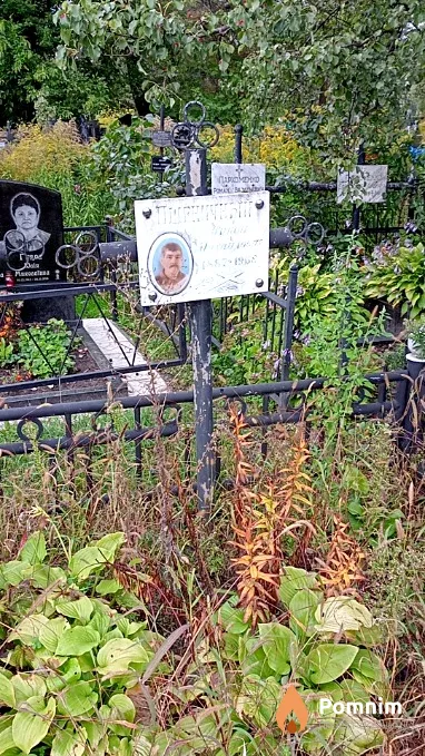 Пшеничный Никон Михайлович