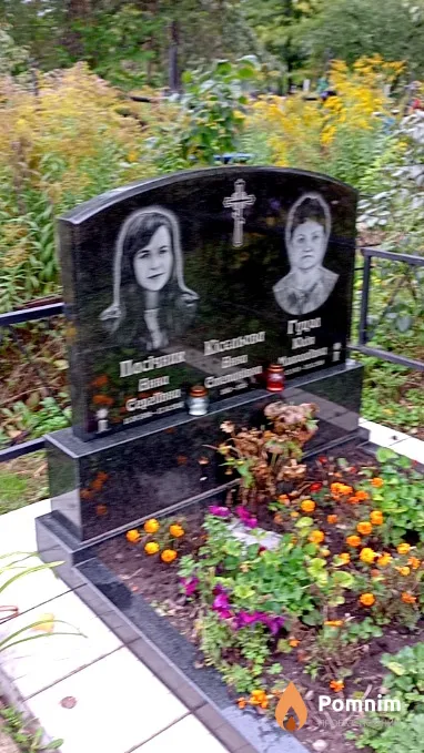Пасічник Анна Сергіївна
