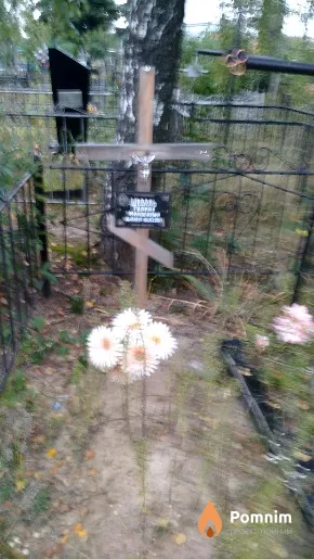Шевель Галина Миколаївна