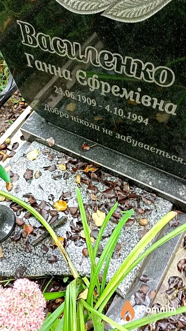 Василенко Ганна Єфремівна