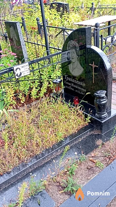 Триколенко Елена Николаевна