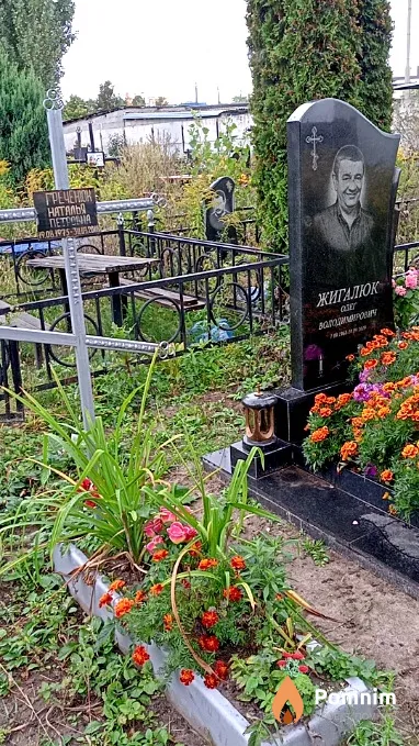 Греченюк Наталья Петровна